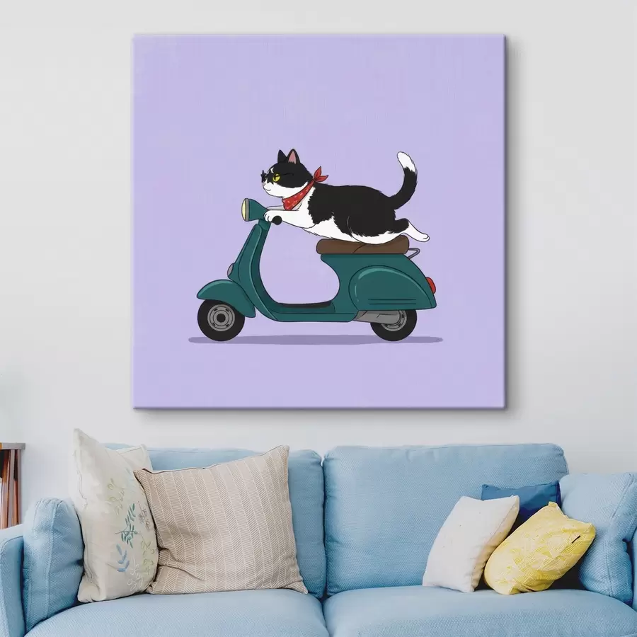 Fototapete Katze auf einem Moped s46847