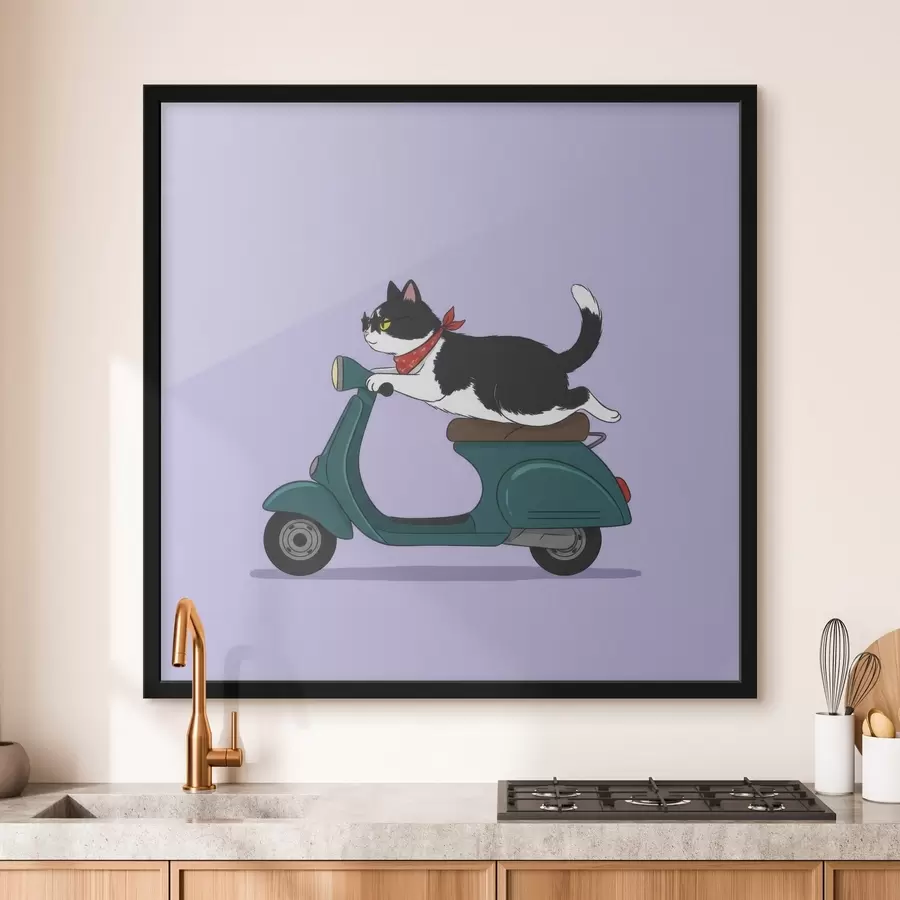 Fototapete Katze auf einem Moped f46847