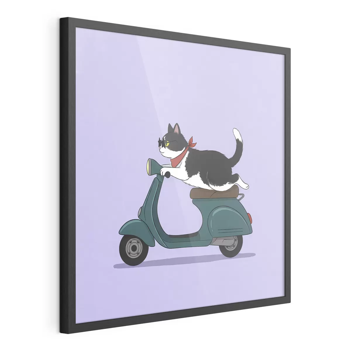 Poster Katze auf einem Moped f46847
