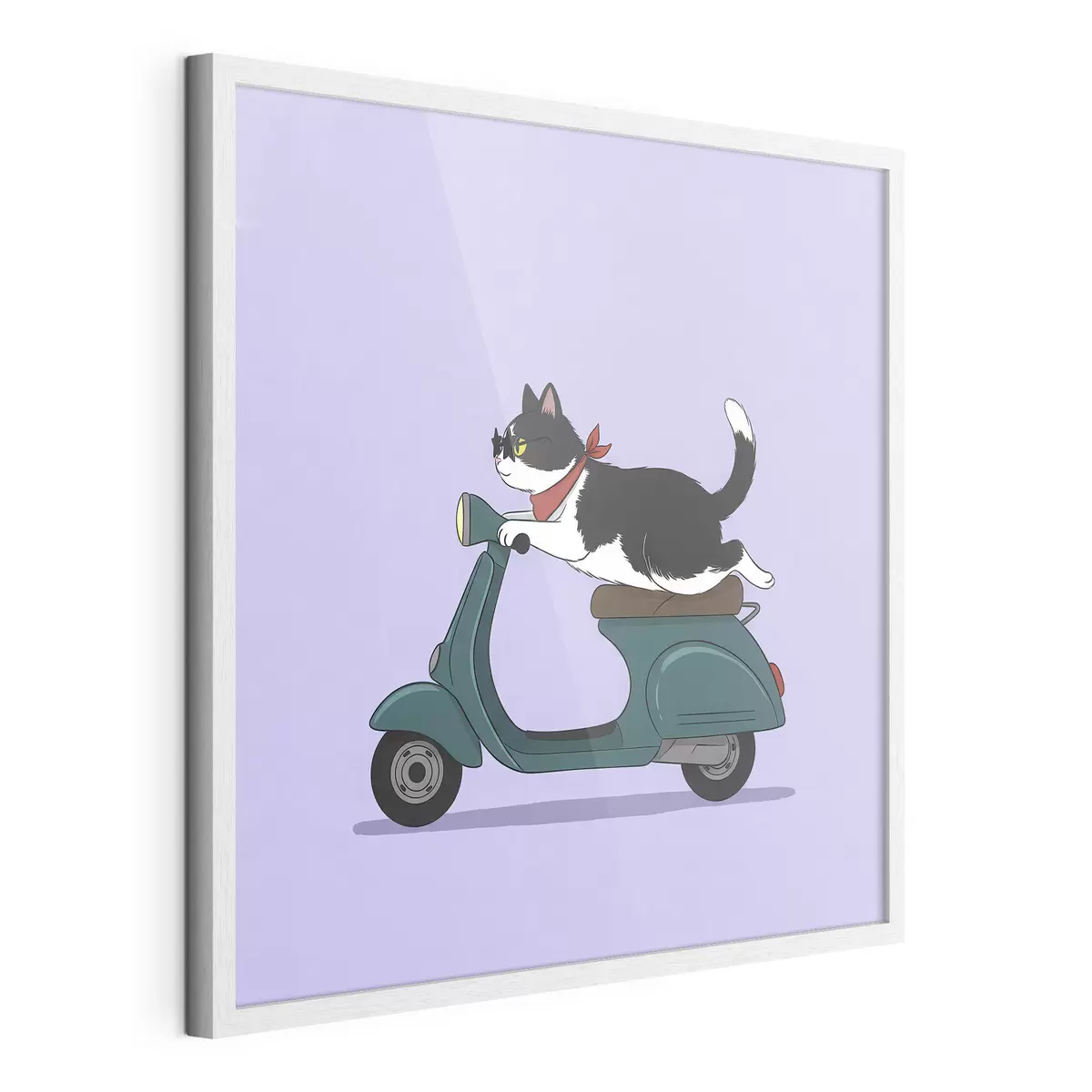 Poster Katze auf einem Moped f46847