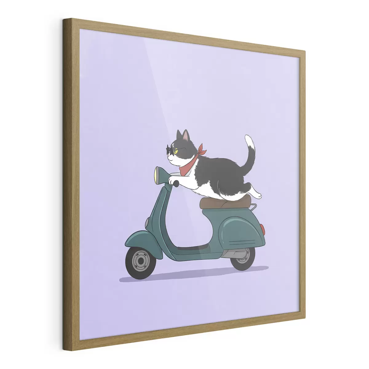 Poster Katze auf einem Moped f46847