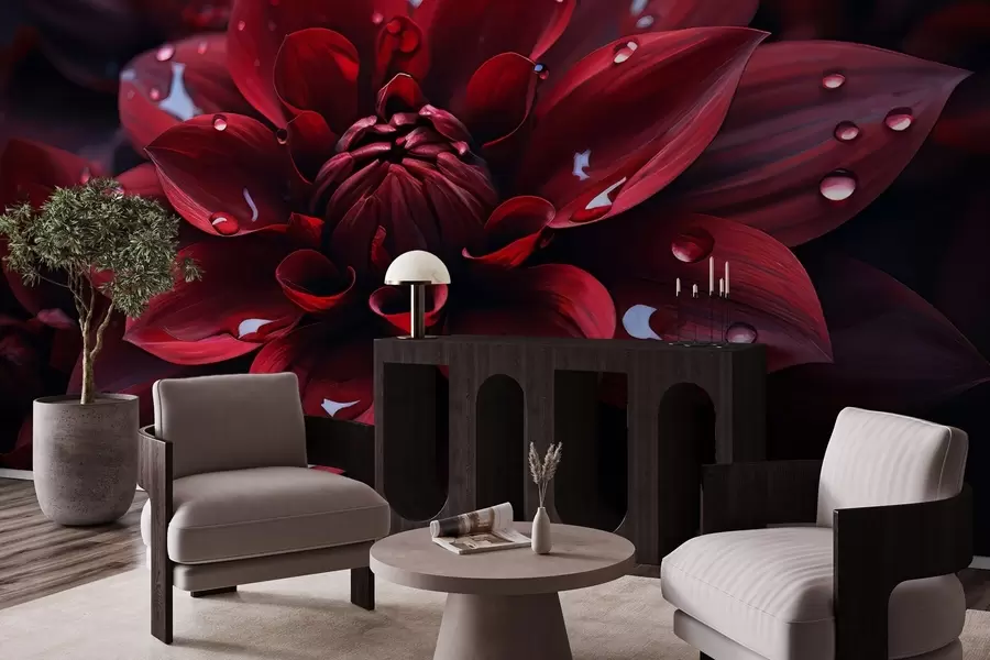 Fototapete Saftige Chrysantheme w05057