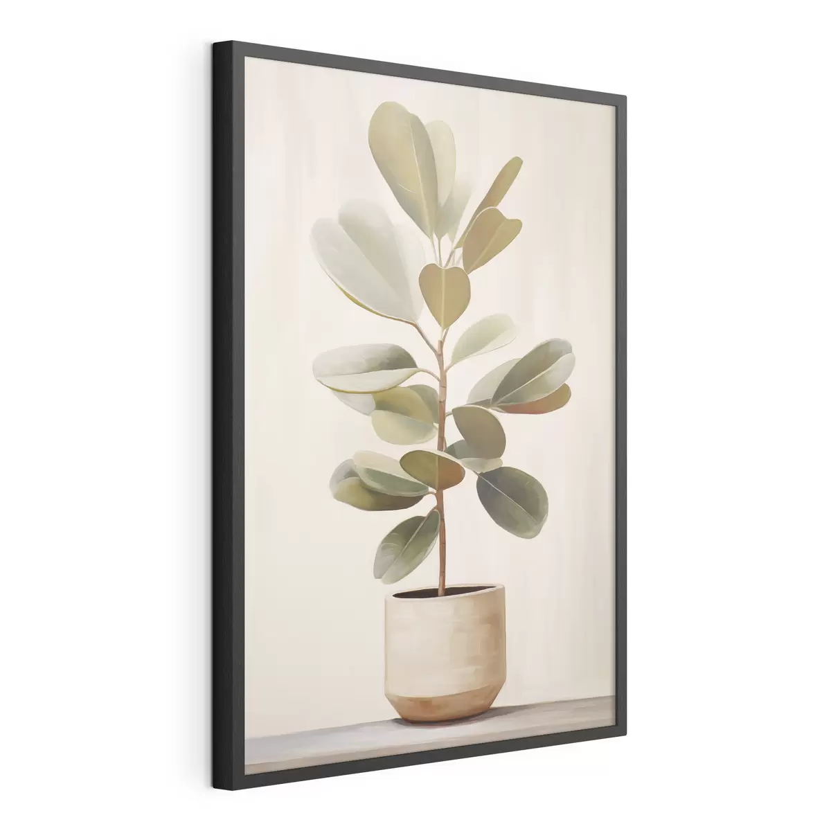 Poster Ficus im Topf f47152