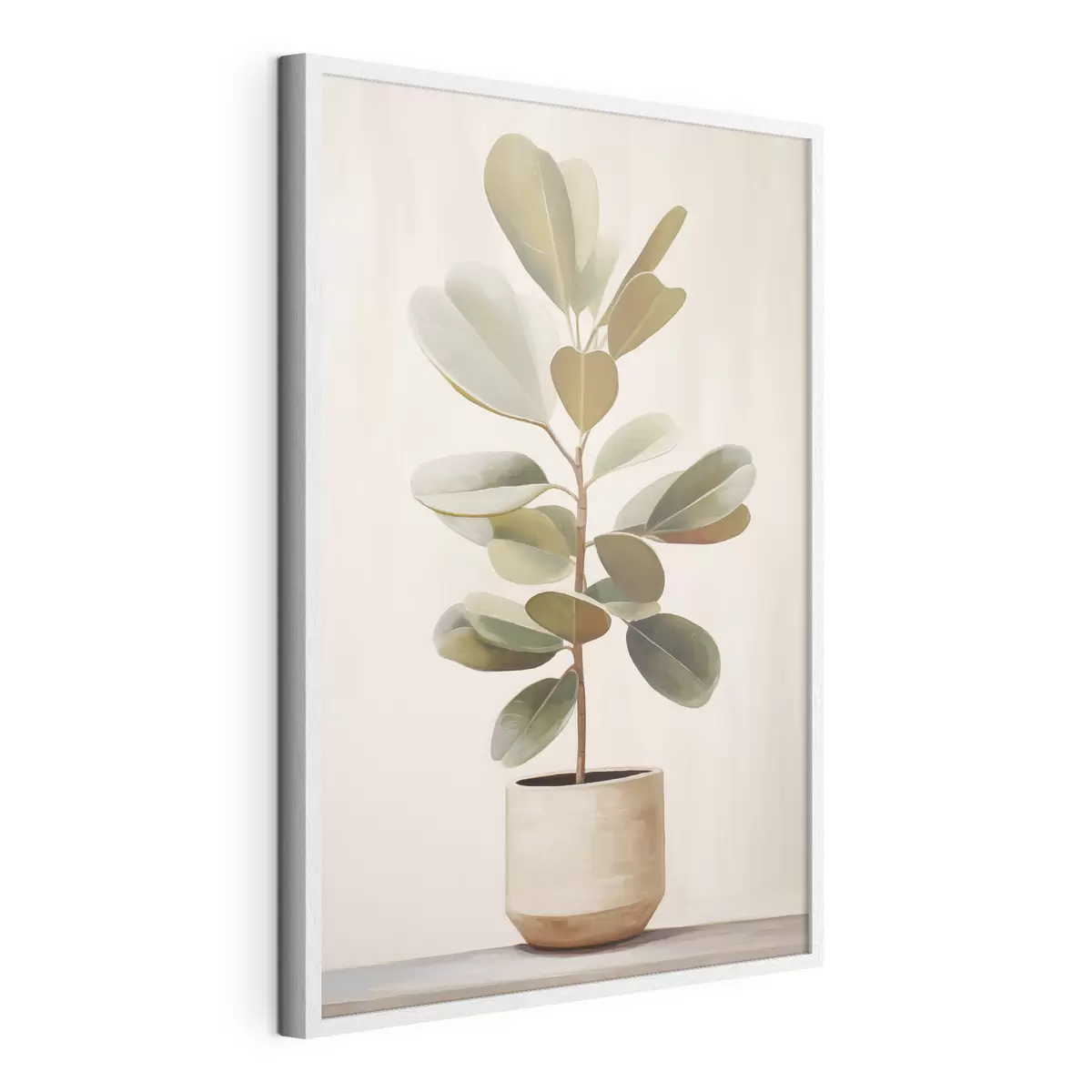 Poster Ficus im Topf f47152