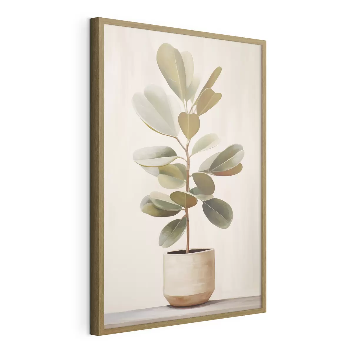 Poster Ficus im Topf f47152