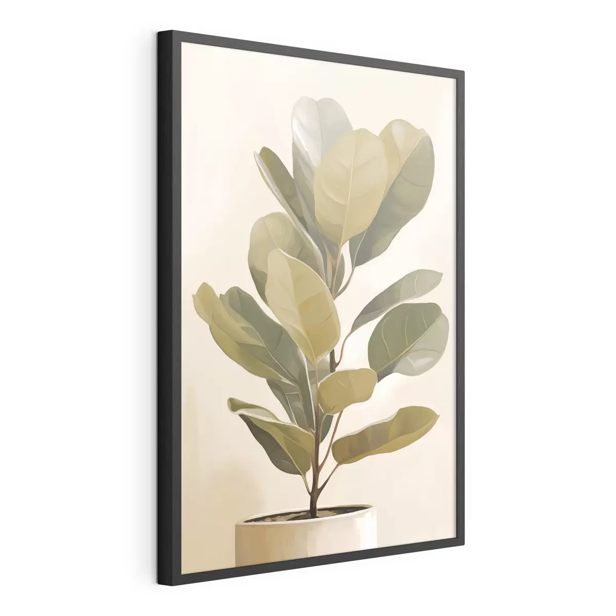 Poster Ficus f47153