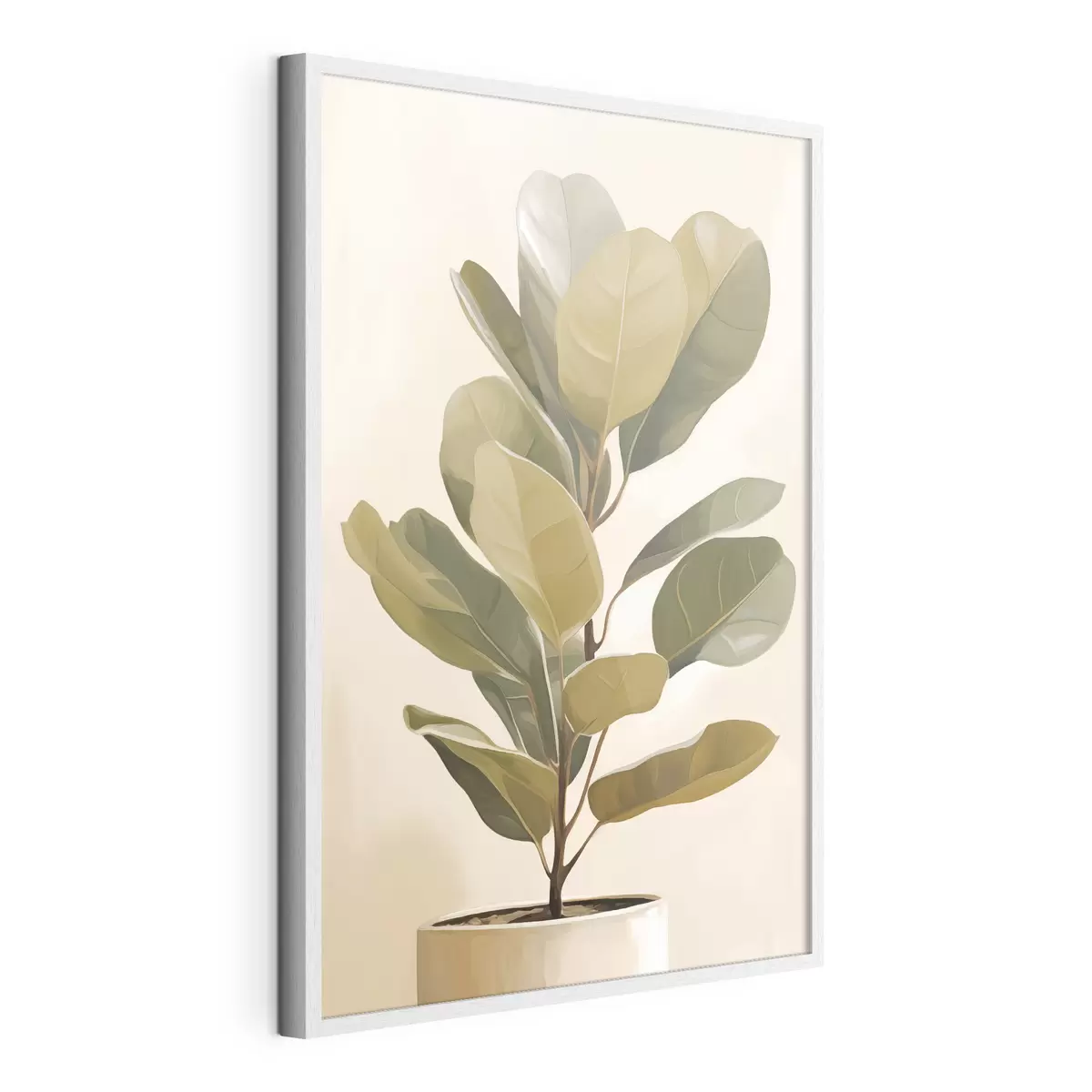 Poster Ficus f47153