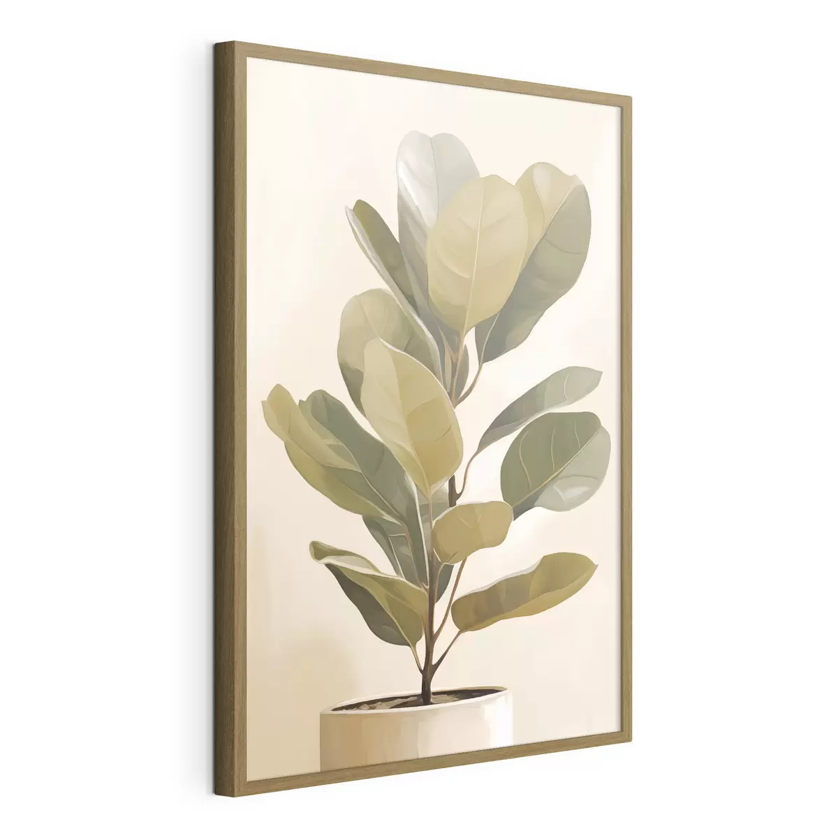 Poster Ficus f47153