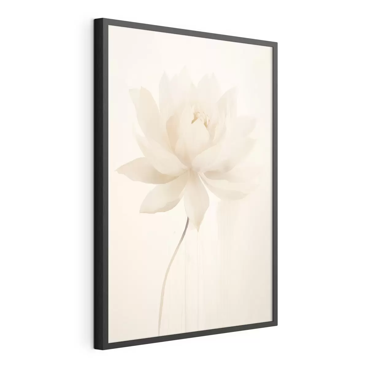 Poster Zarte weiße Lotusblume auf hellem Hintergrund im minimalistischen Stil f46936
