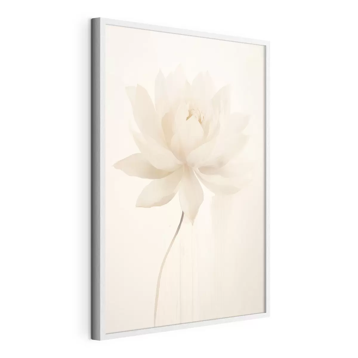 Poster Zarte weiße Lotusblume auf hellem Hintergrund im minimalistischen Stil f46936