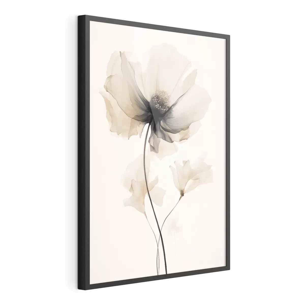 Poster Zarte, halbtransparente Blume mit dunkler Mitte im minimalistischen Stil f46944