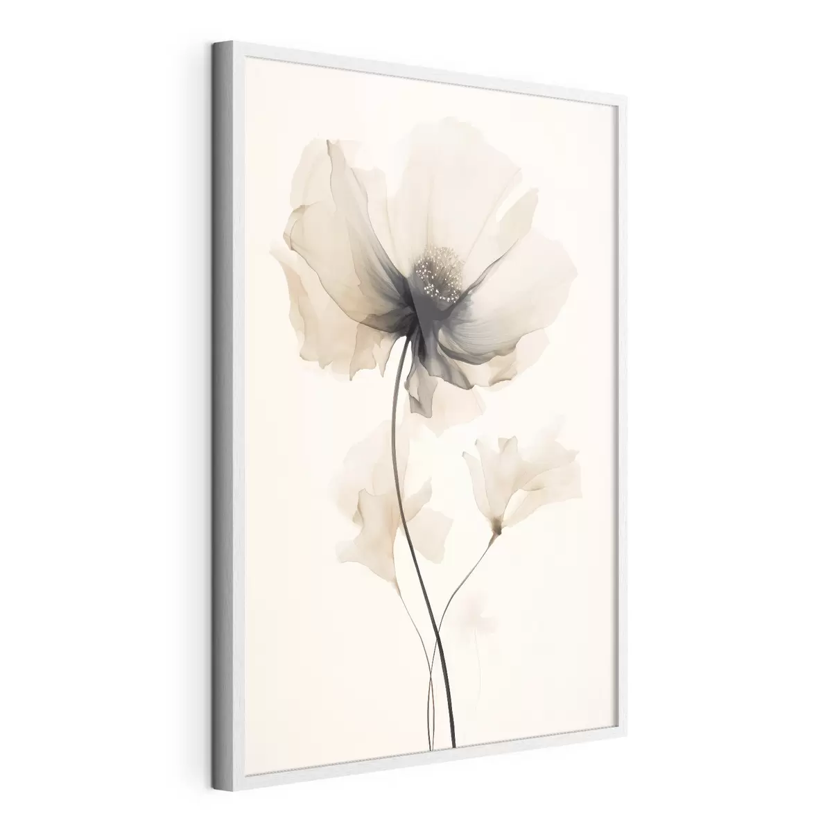Poster Zarte, halbtransparente Blume mit dunkler Mitte im minimalistischen Stil f46944