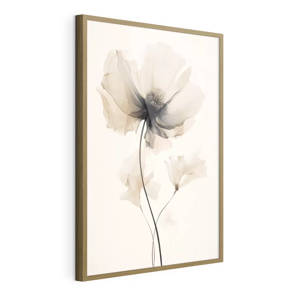 Poster Zarte, halbtransparente Blume mit dunkler Mitte im minimalistischen Stil f46944