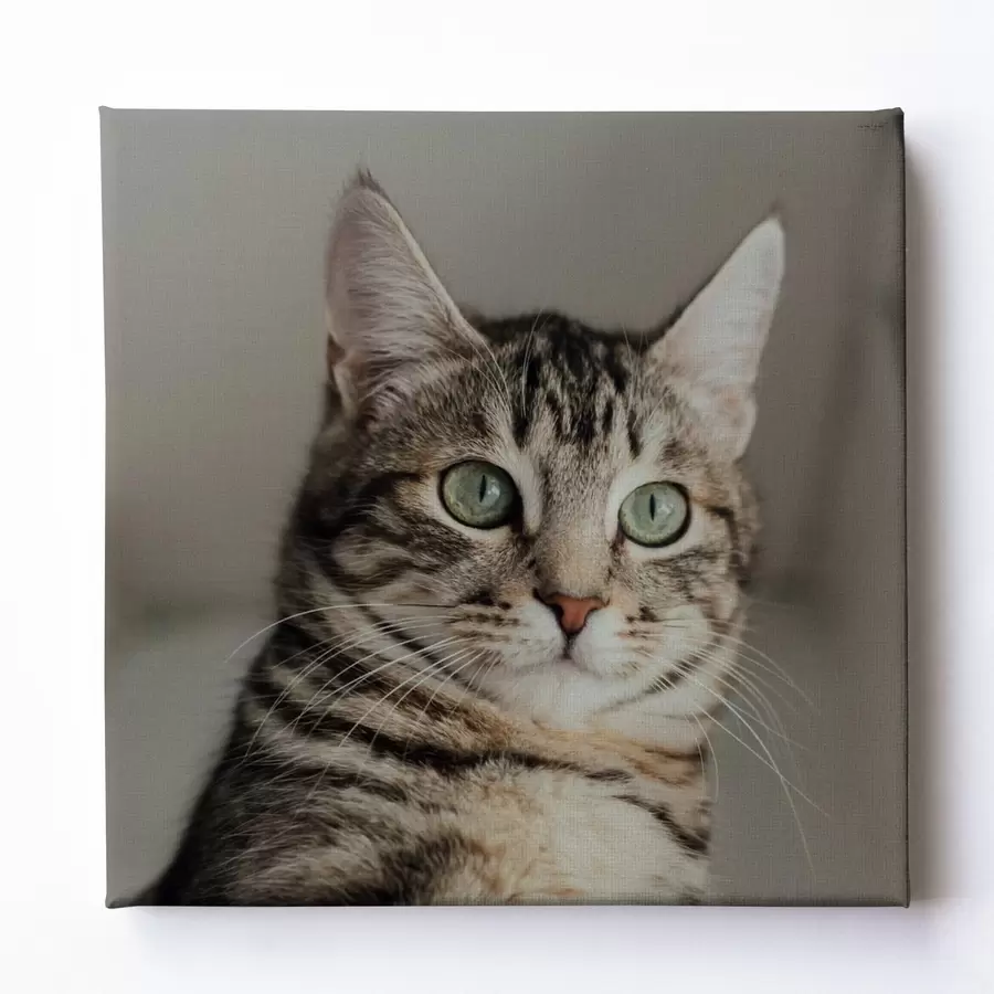 Fototapete Romantisches Geschenk für ein Paar basierend auf einem Foto s47204