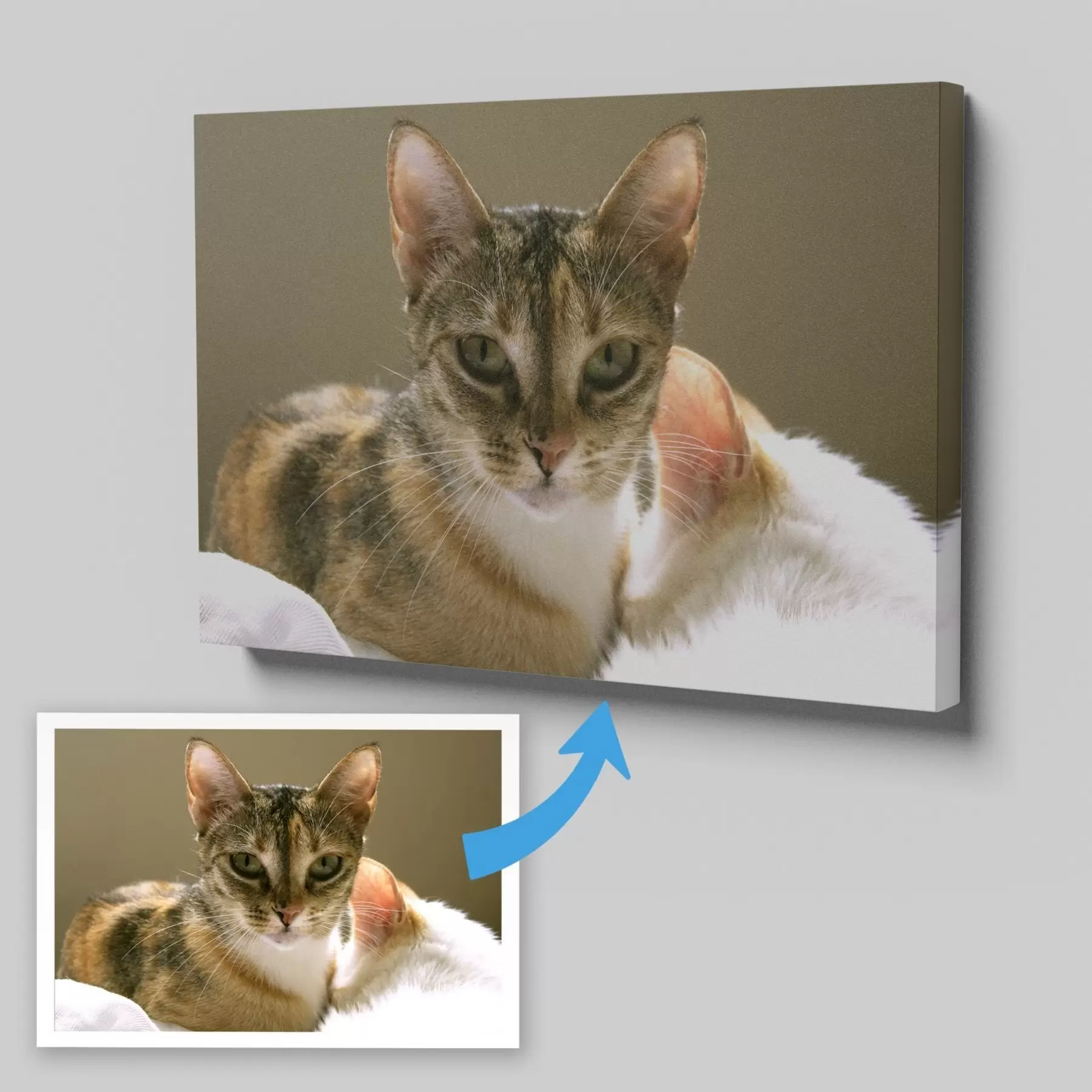 Fototapete Foto Ihrer Katze auf Leinwand s47165