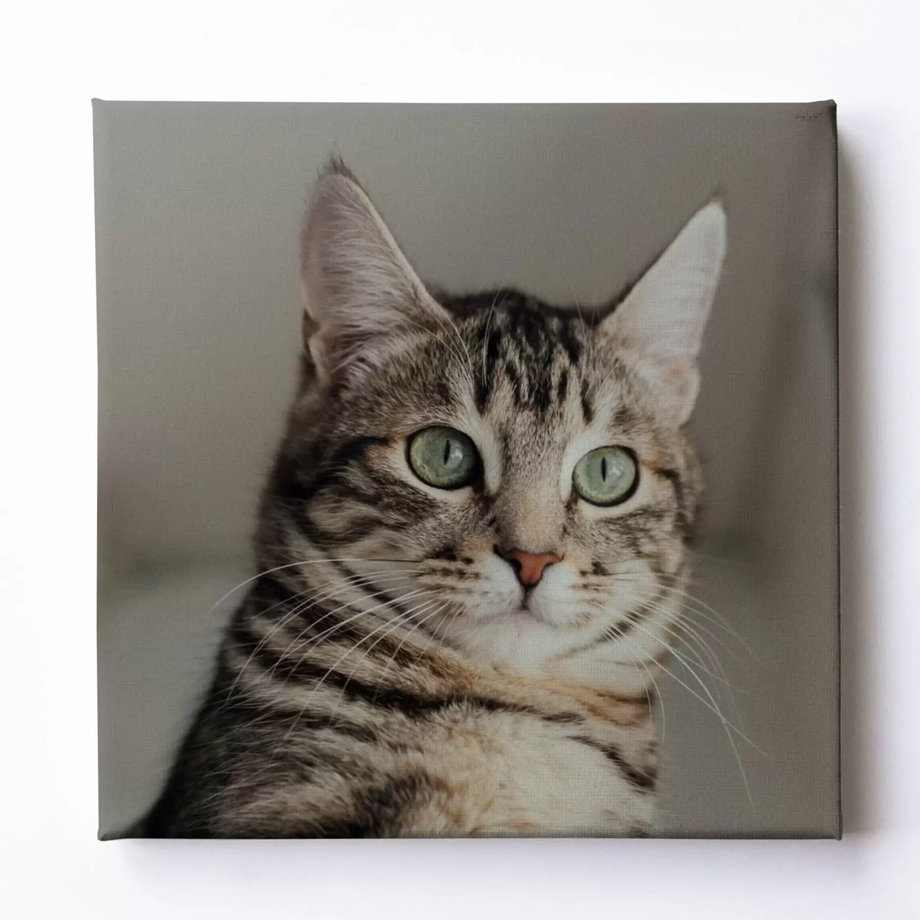 Fototapete Romantisches Geschenk für ein Paar basierend auf einem Foto s47204