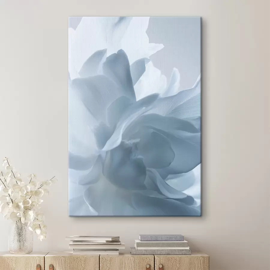 Fototapete zarte Blütenblätter in Blautönen s47691