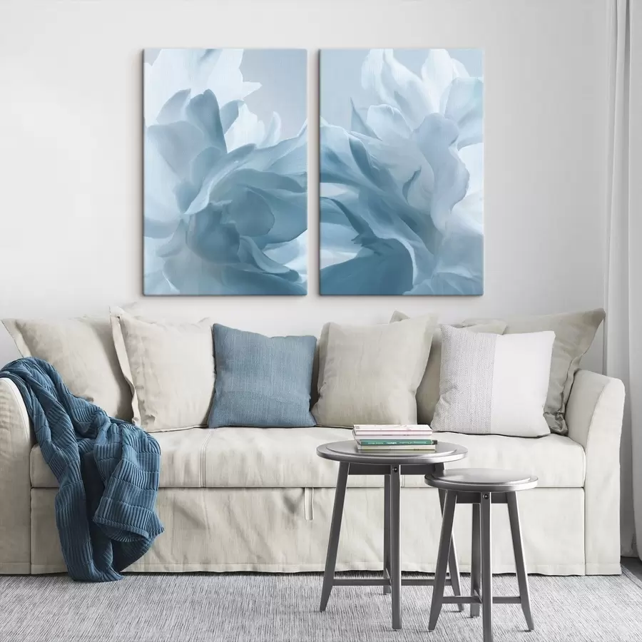 Fototapete zarte Blütenblätter m01281