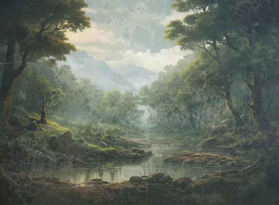 Fototapete Waldstille w05171