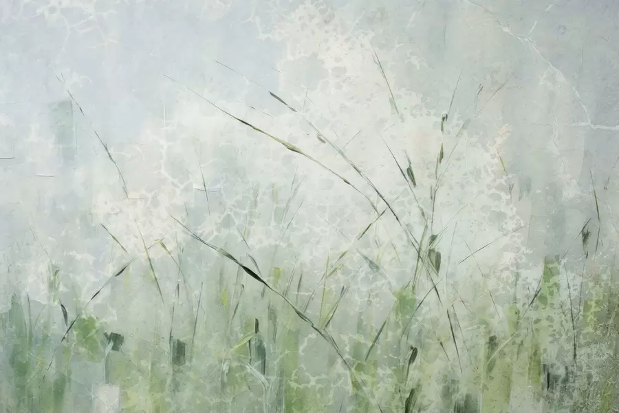 Fototapete Leichtigkeit des Grases w05176