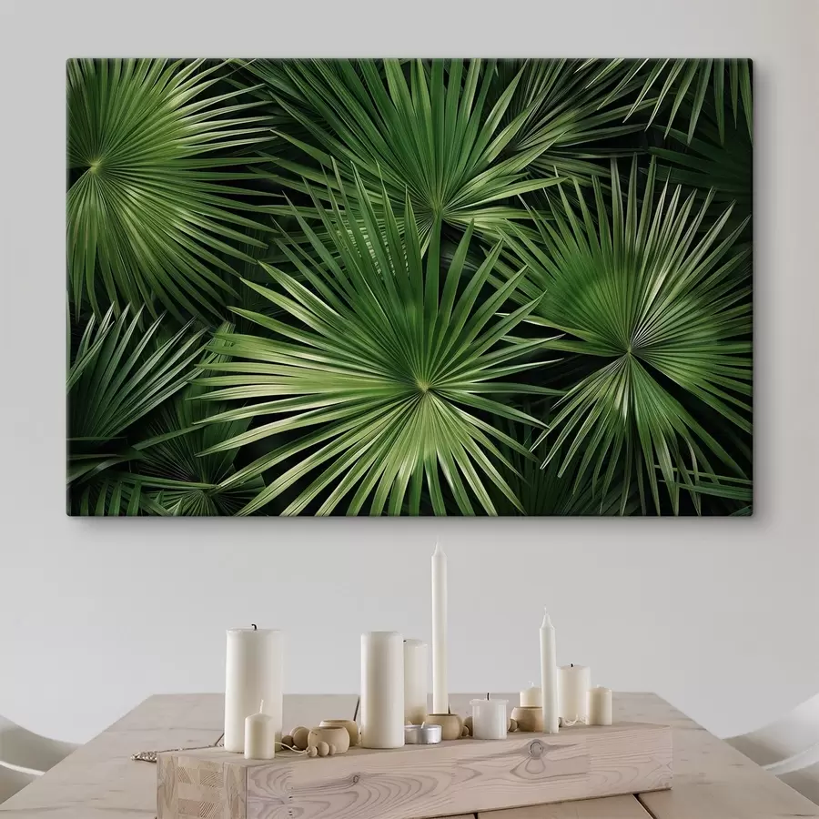 Fototapete Große Blätter, Bragaea s47746