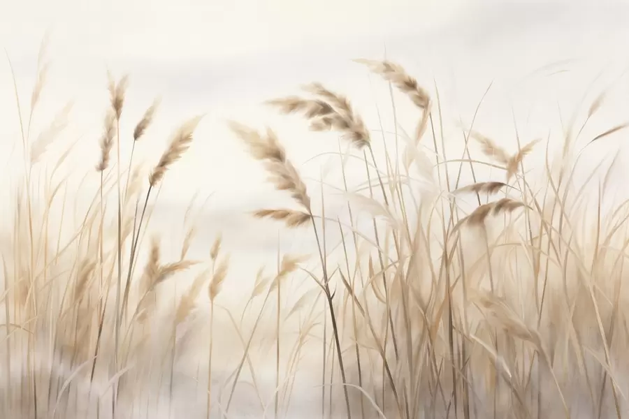 Fototapete Hohes, strukturiertes trockenes Gras mit Weizenähren auf einem Feld vor einem weichen, blassen Hintergrund w09648