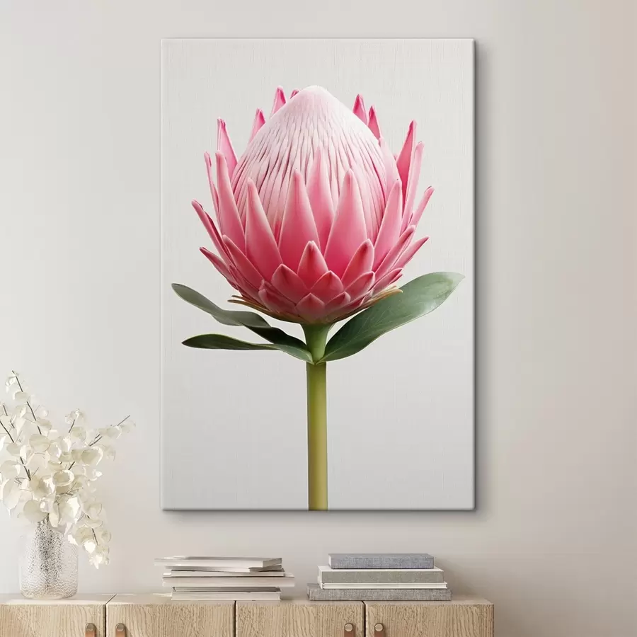 Fototapete Exotische Blume, Protea s47823