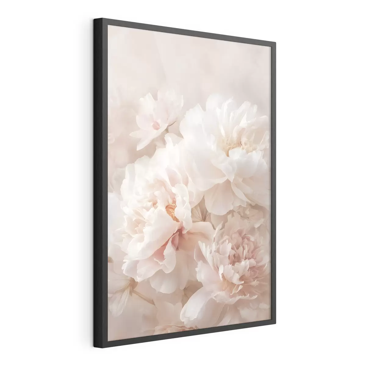 Poster üppige rosa Pfingstrosen f47953