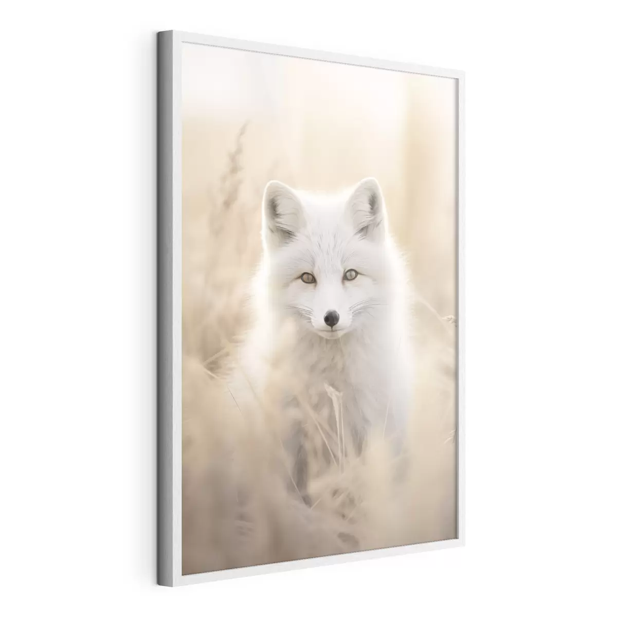 Poster Polarfuchs f48498
