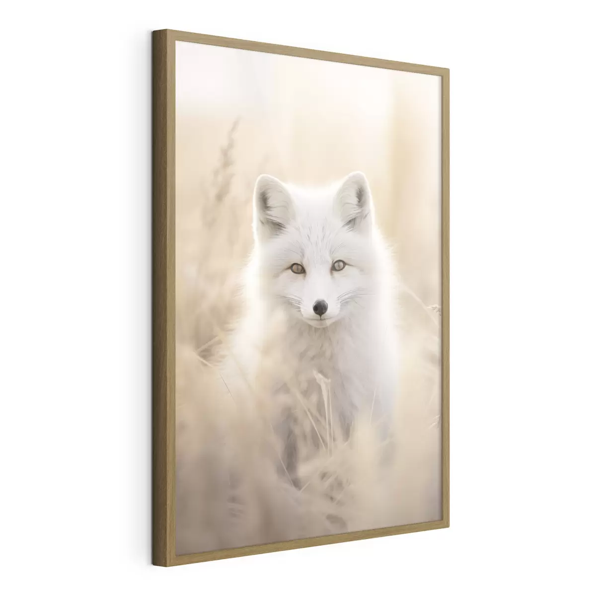 Poster Polarfuchs f48498