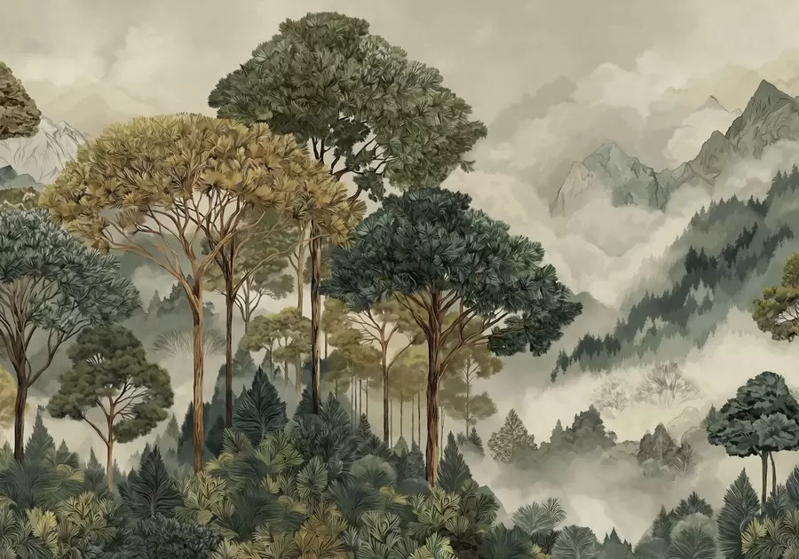 Fototapete Wald mit hohen Bäumen in nebligen Bergen w05410