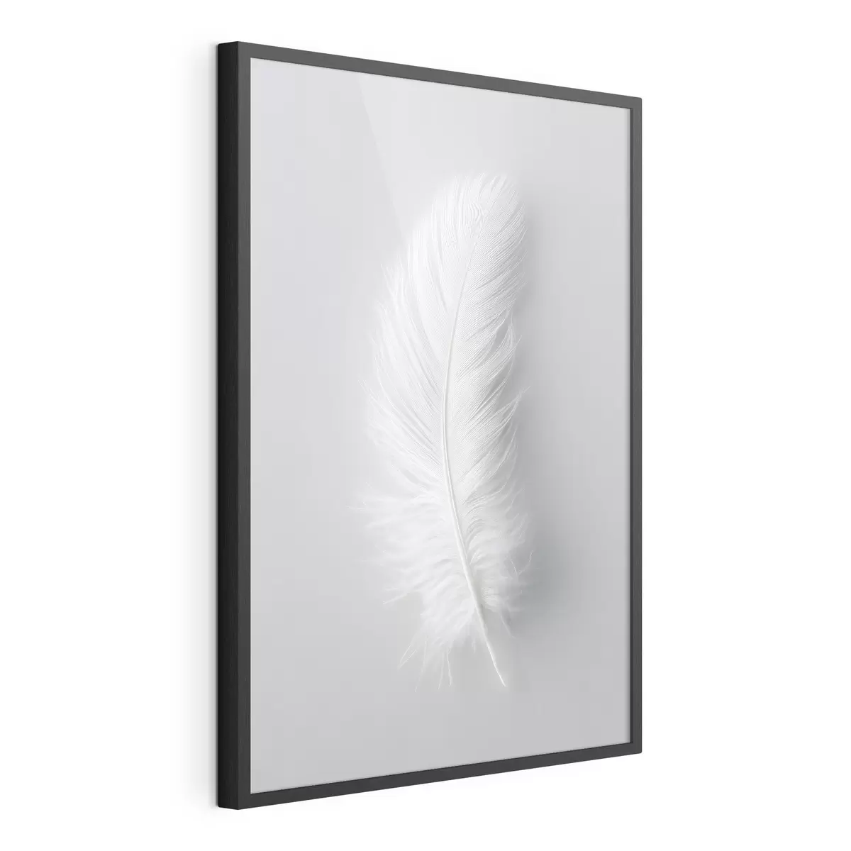 Poster eine elegante Schwanenfeder f48782