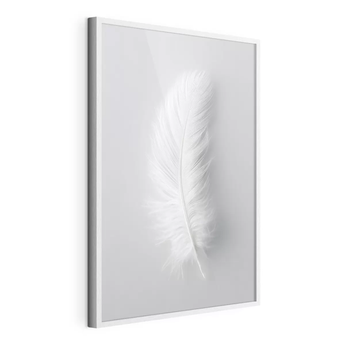 Poster eine elegante Schwanenfeder f48782
