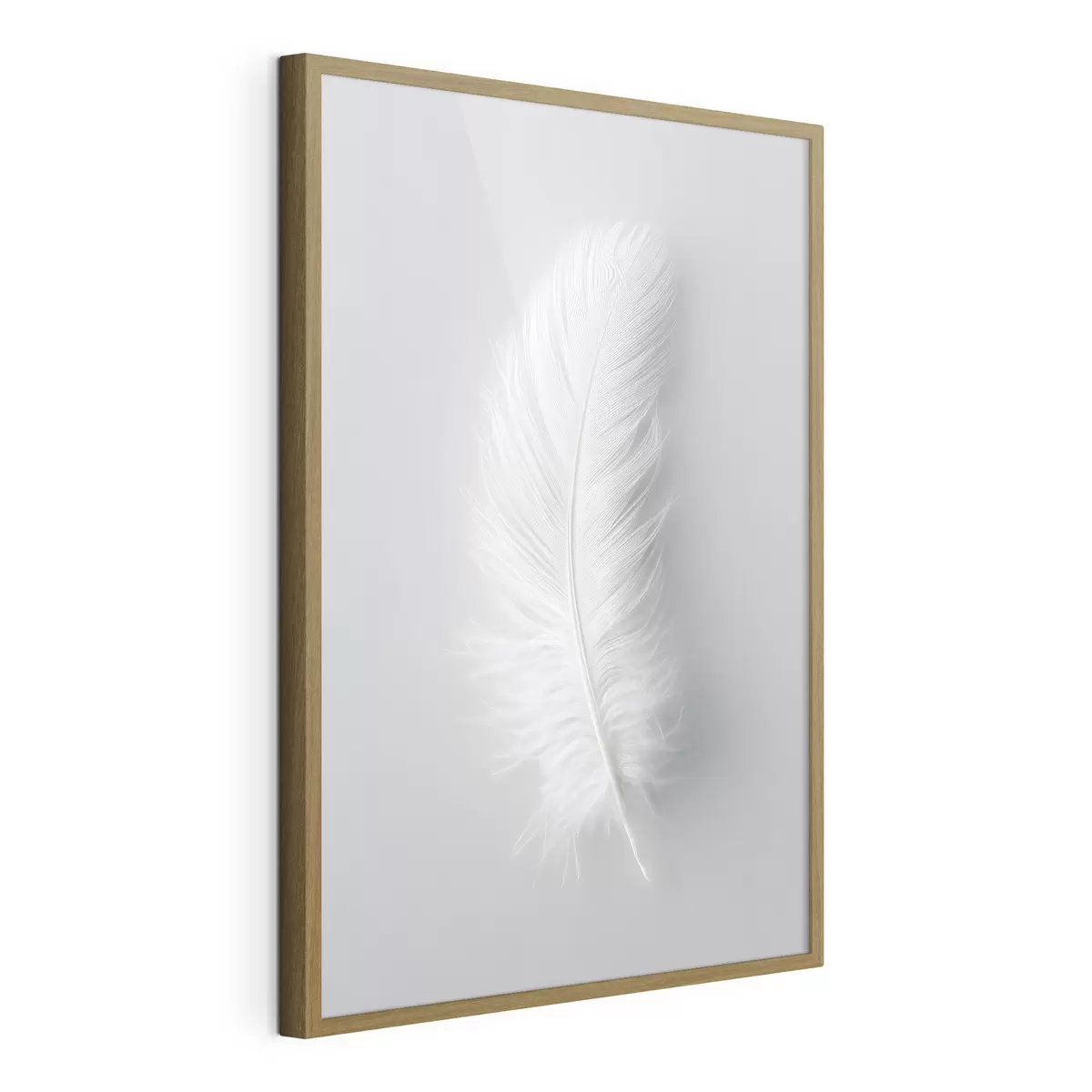 Poster eine elegante Schwanenfeder f48782