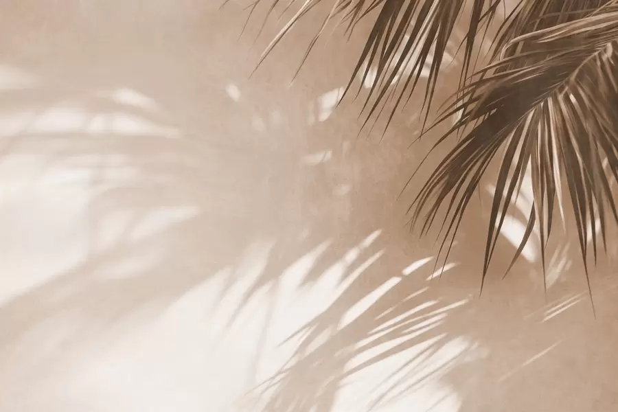 Fototapete Strukturierte Palmblätter mit Schatten, tropische Atmosphäre, Minimalismus w09890