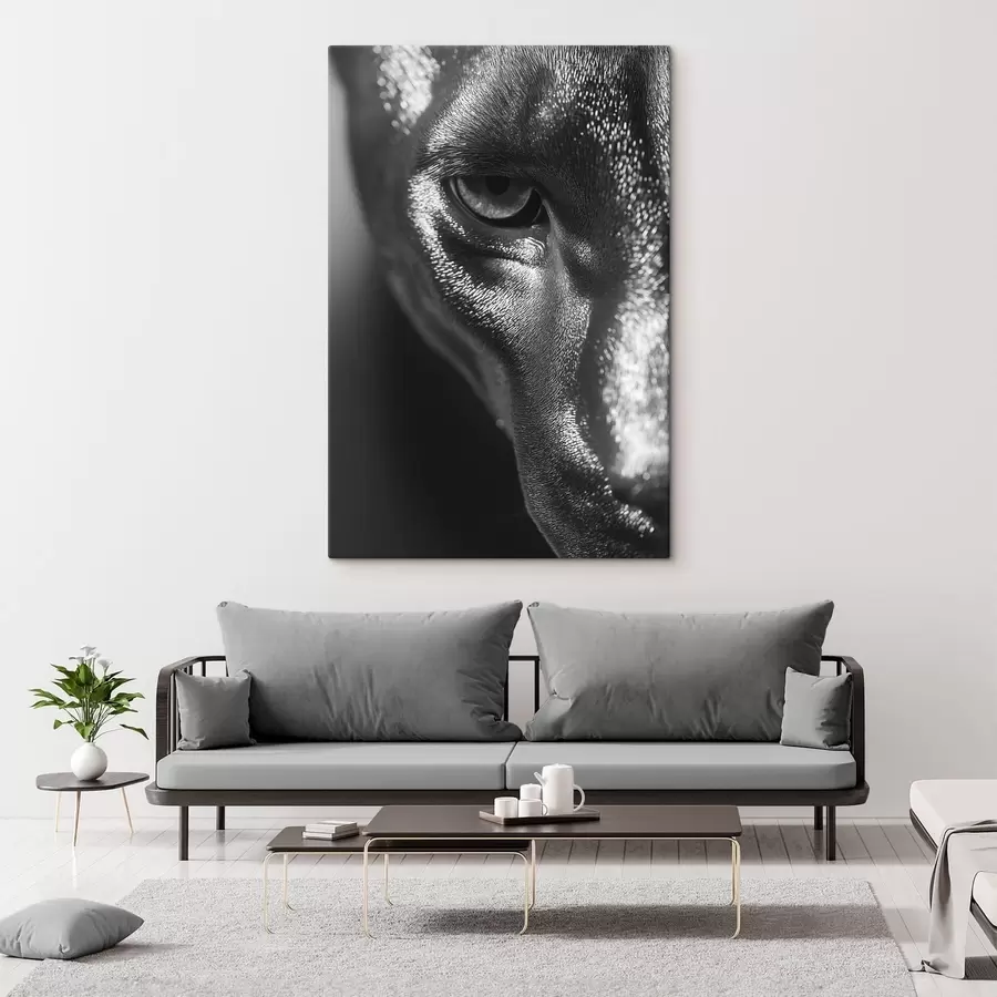 Fototapete Silberner Blick s49334