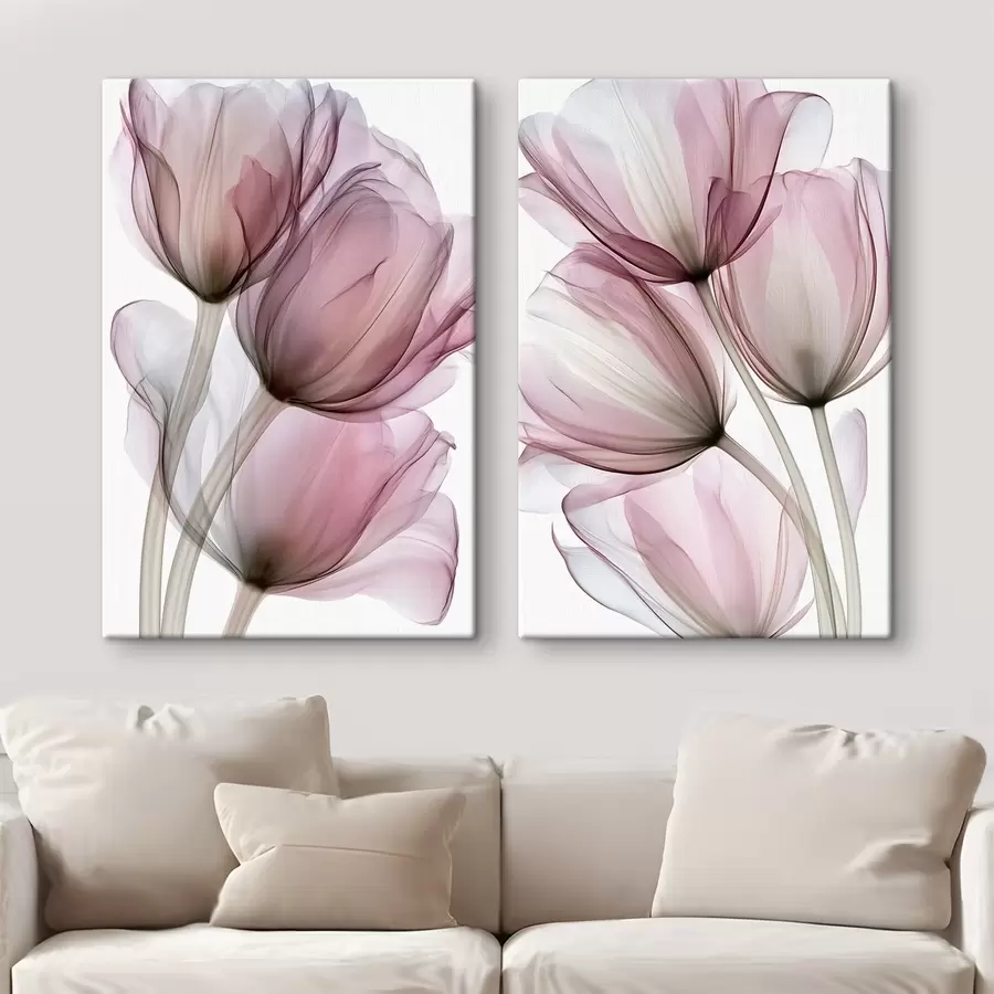 Fototapete elegante, halbtransparente Tulpen m30623