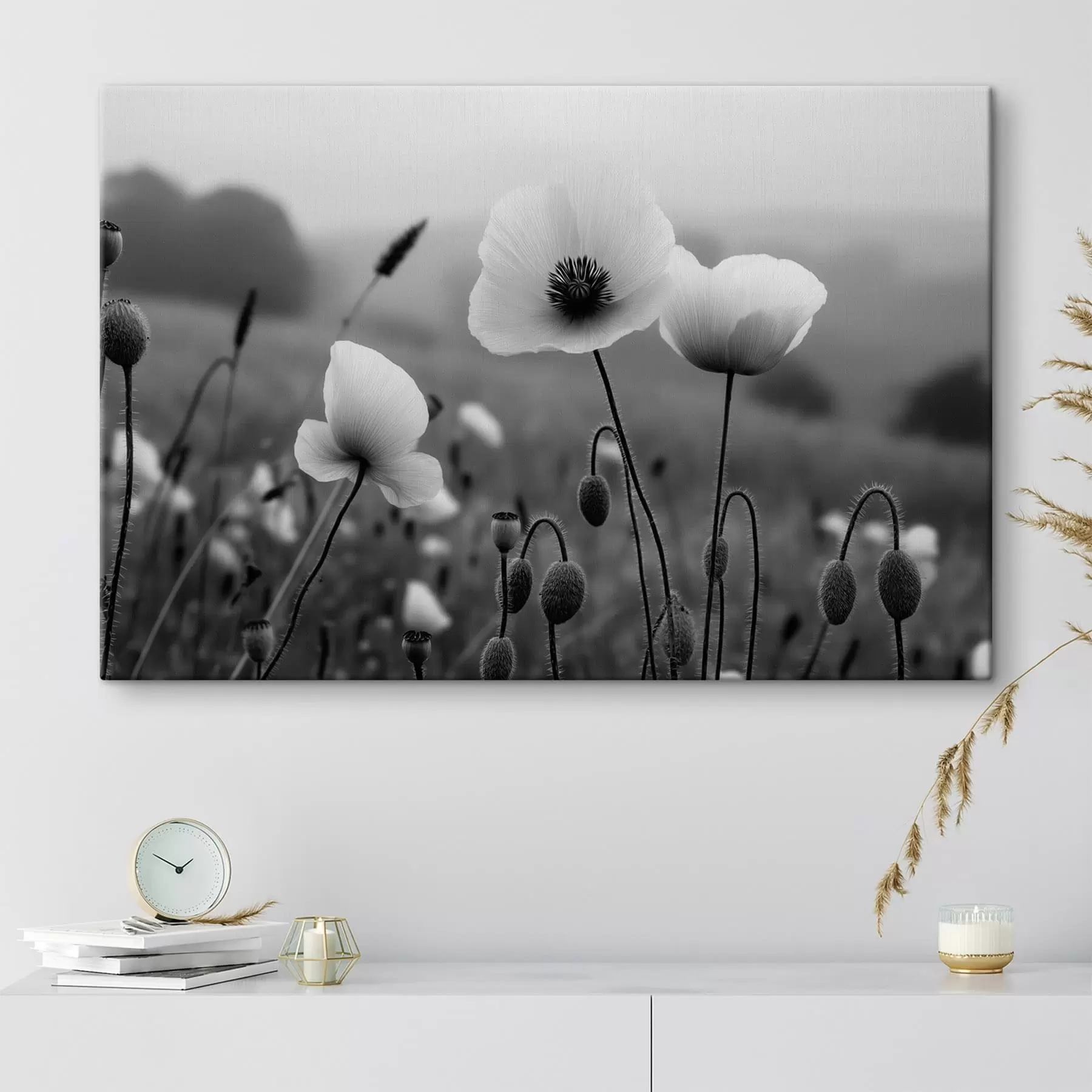 Fototapete Schwarz-weiße Mohnblumen vor einem verschwommenen Hintergrund s49692