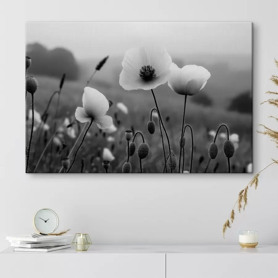 Fototapete Schwarz-weiße Mohnblumen vor einem verschwommenen Hintergrund s49692