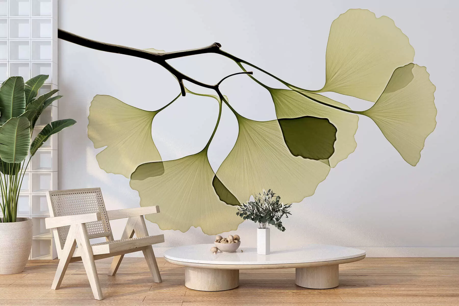 Fototapete Ginkgo-Fächerblätter w09968