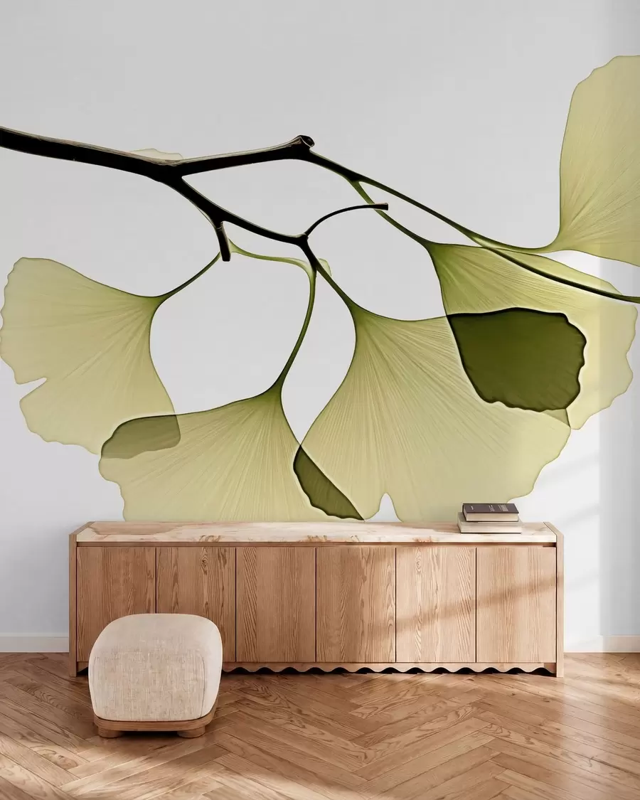 Fototapete Ginkgo-Fächerblätter w09968
