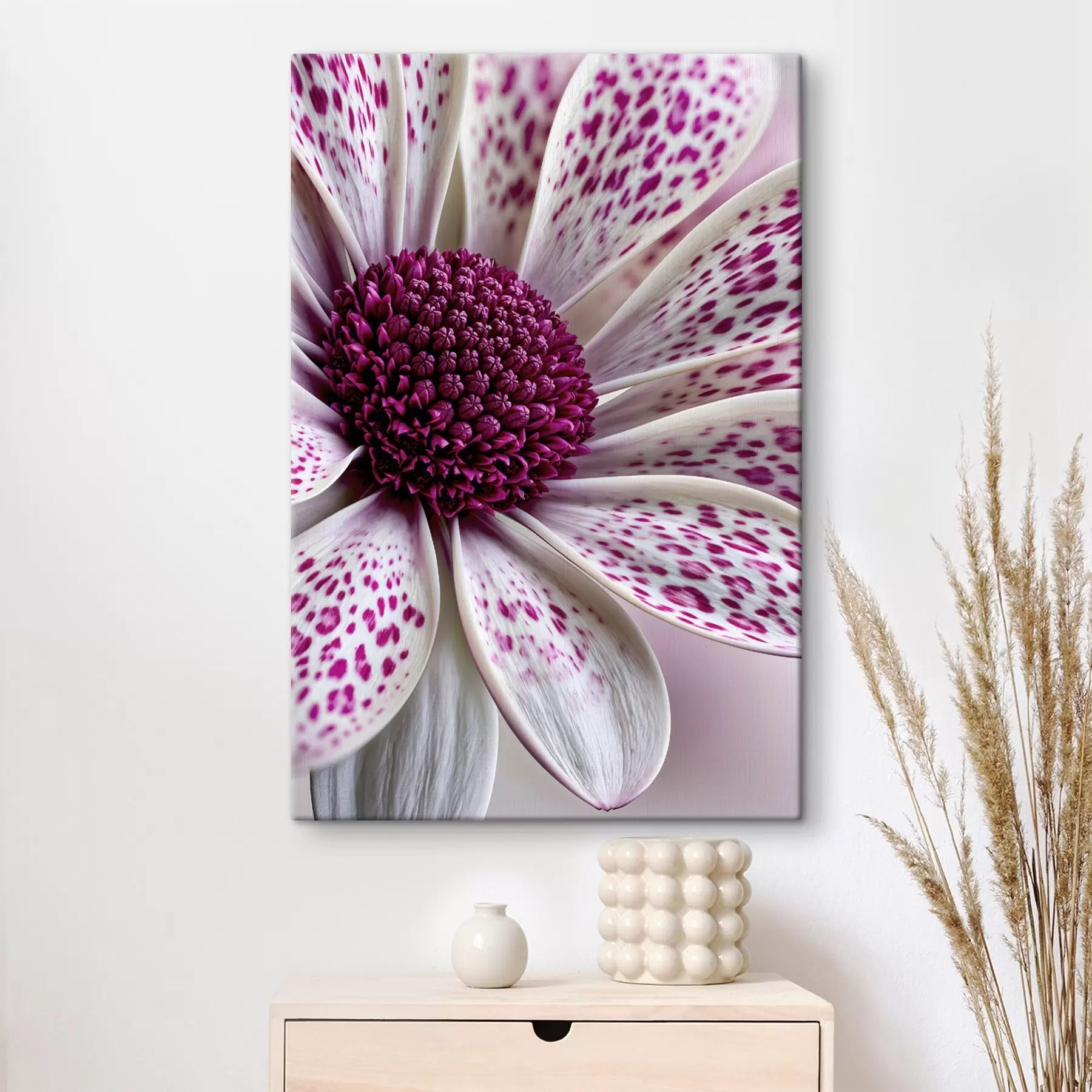 Fototapete Nahaufnahme einer gänseblümchenähnlichen Blume mit leuchtend magentafarbenen Leopardenflecken s49865