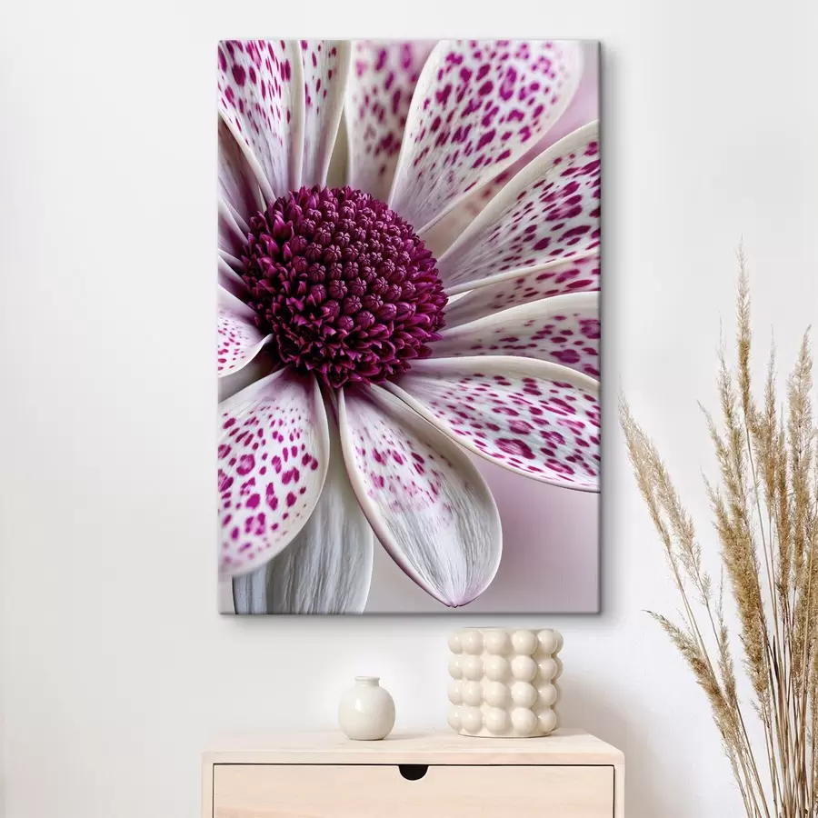 Fototapete Nahaufnahme einer gänseblümchenähnlichen Blume mit leuchtend magentafarbenen Leopardenflecken s49865