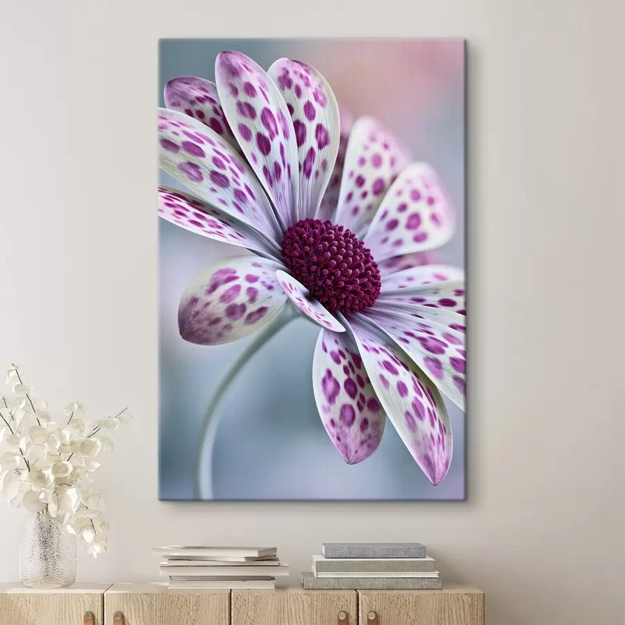 Fototapete Eine gänseblümchenähnliche Blume mit leuchtend magentafarbenen Leopardenflecken s49866