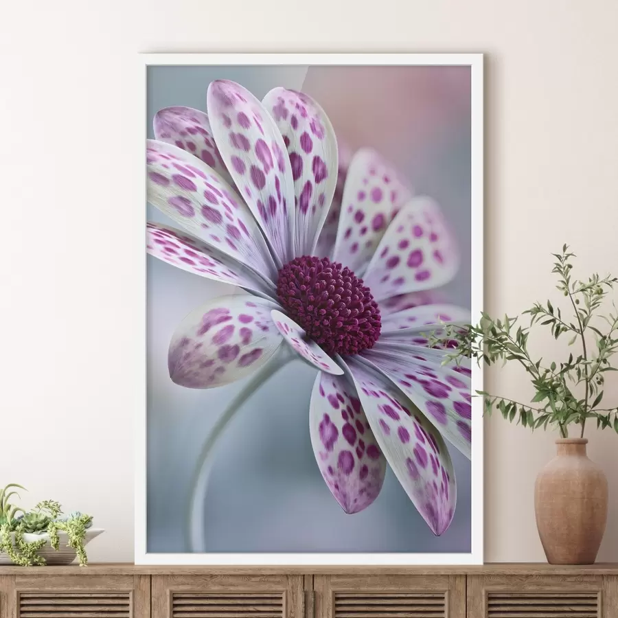Fototapete Eine gänseblümchenähnliche Blume mit leuchtend magentafarbenen Leopardenflecken f49866
