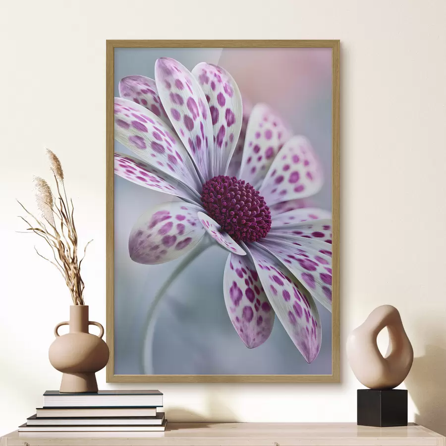 Fototapete Eine gänseblümchenähnliche Blume mit leuchtend magentafarbenen Leopardenflecken f49866