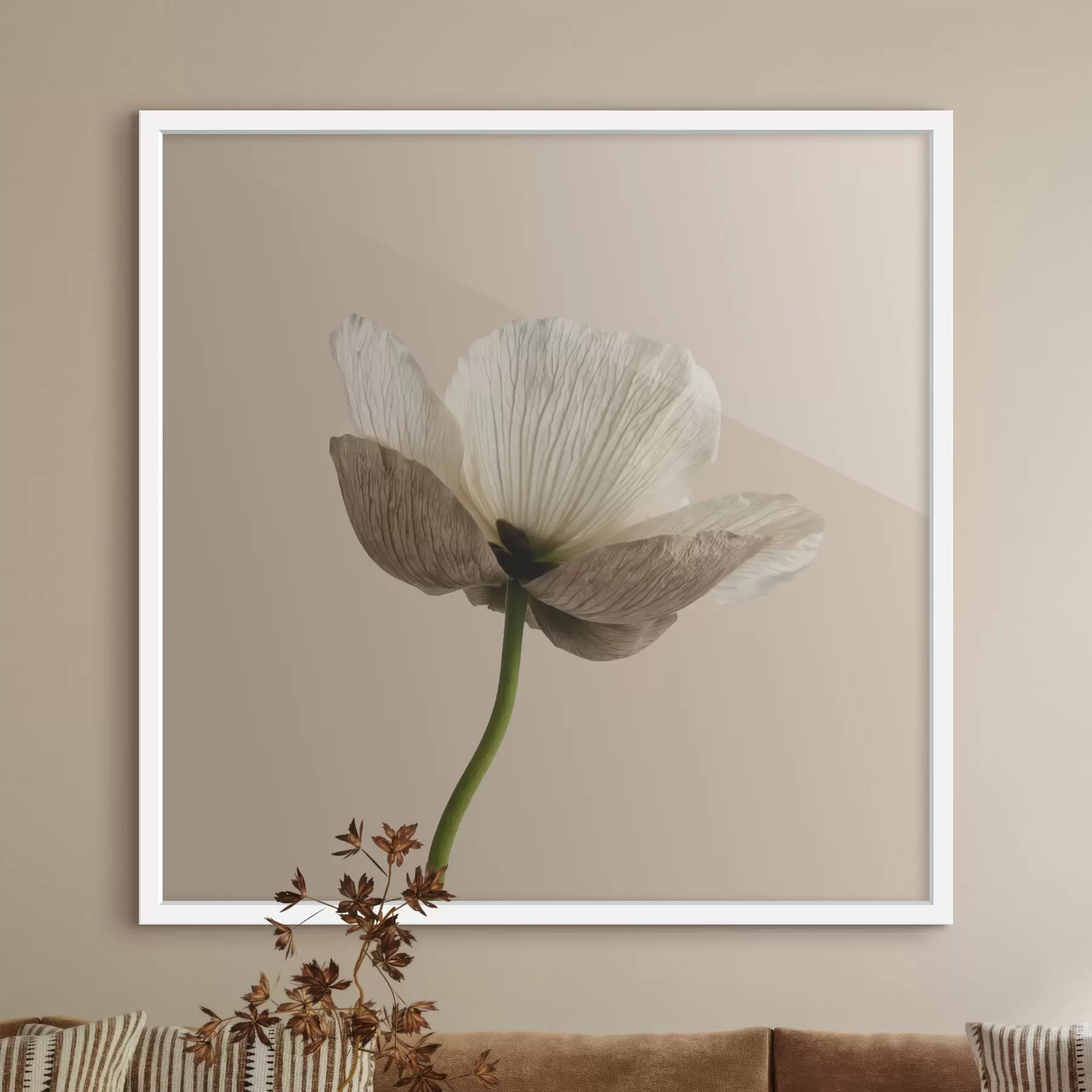 Fototapete Zarte Blume mit durchscheinenden Blütenblättern auf beigem Hintergrund im minimalistischen Stil f49718
