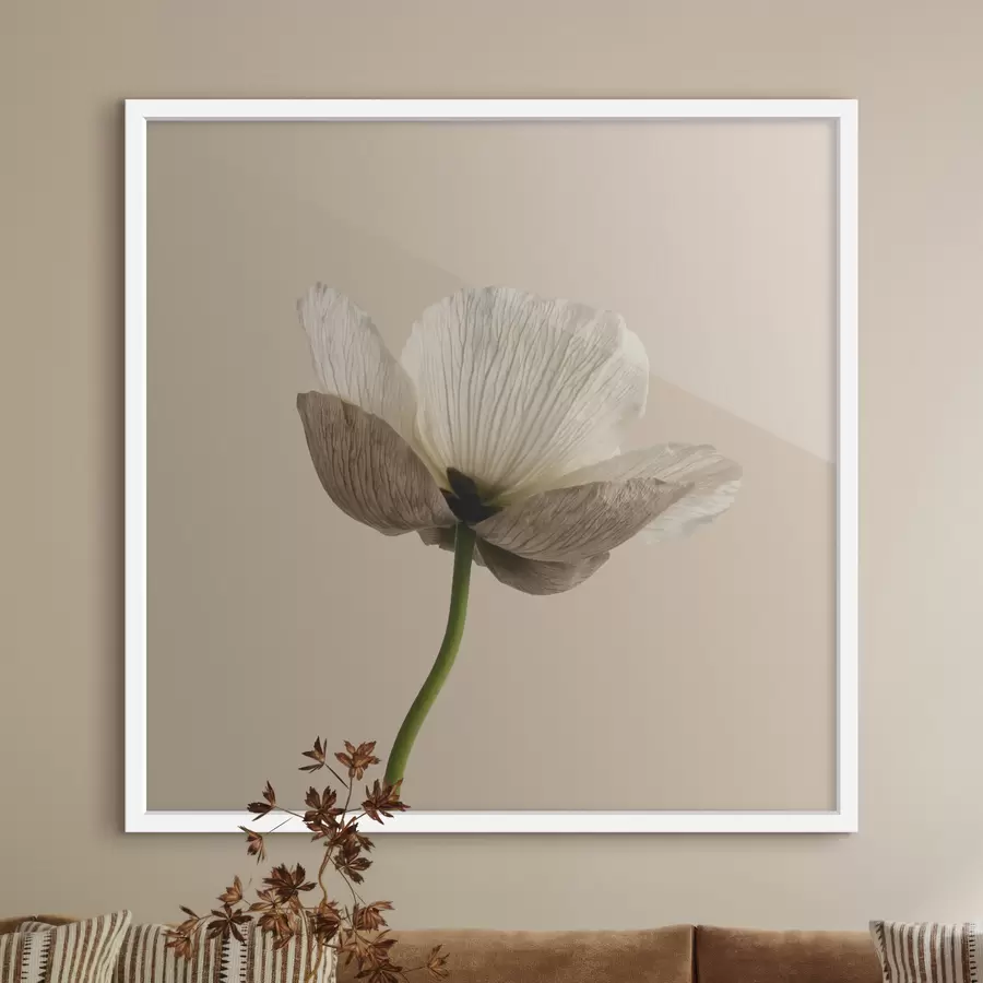 Fototapete Zarte Blume mit durchscheinenden Blütenblättern auf beigem Hintergrund im minimalistischen Stil f49718