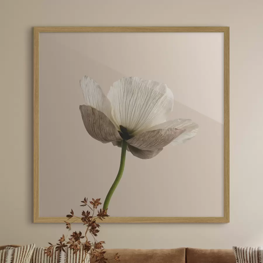 Fototapete Zarte Blume mit durchscheinenden Blütenblättern auf beigem Hintergrund im minimalistischen Stil f49718
