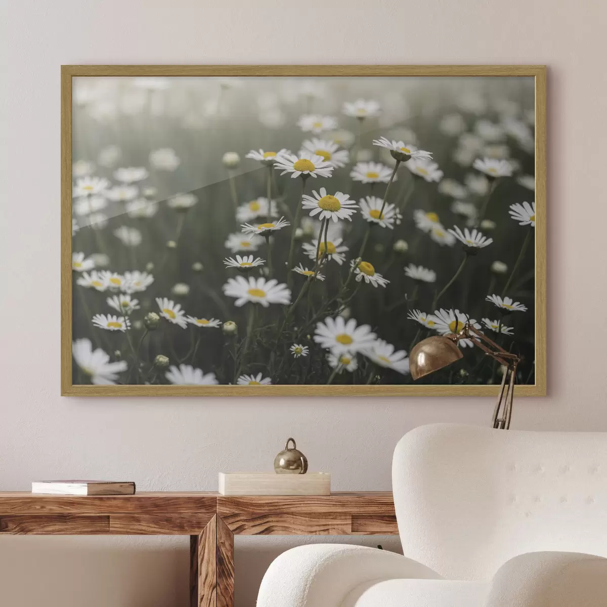Poster Ein Feld voller weißer Gänseblümchen mit gelben Blütenmitten f50588